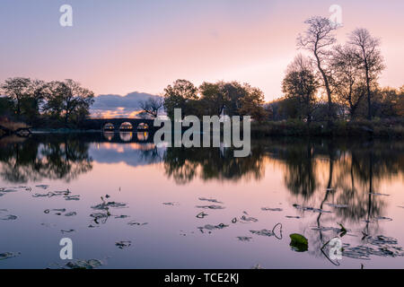 Osaka Garten, Jackson Park, Chicago, Illinois, United States Stockfoto