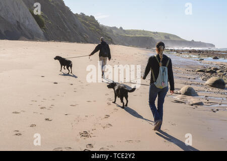 Einen älteren männlichen und jüngeren weiblichen gehen Hunde am Strand entlang mit Leinen Stockfoto