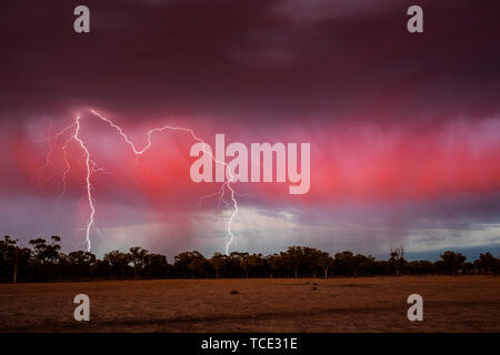 Gewitter im Outback, West Queensland, Australien Stockfoto