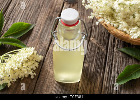 Eine Flasche hausgemachten Kräuter Sirup aus frischen Holunderblüten gemacht Stockfoto