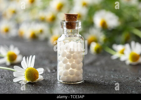 Eine Flasche homöopathische Mittel mit frischen Kamillenblüten Stockfoto