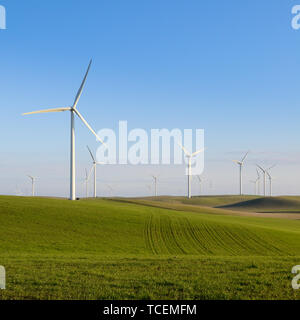 Große Gruppe von Windenergieanlagen erzeugen saubere erneuerbare Windenergie mit offenen grünen Weiden. Stockfoto