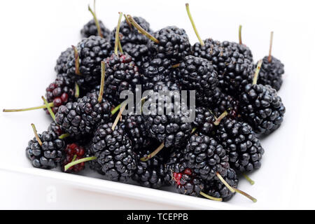 Niederlassung von Ripe mulberry Obst in der Schüssel auf weißem Hintergrund Stockfoto