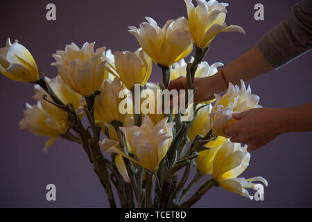 Weibliche Hände arrangieren weiß gelb Blumen closeup Stockfoto