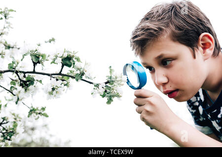 Isolierte Junge mit Blume durch die Lupe. Charmante Schüler Natur erkunden. Kid entdecken Frühling Kirschblüten mit Lupe. Y Stockfoto