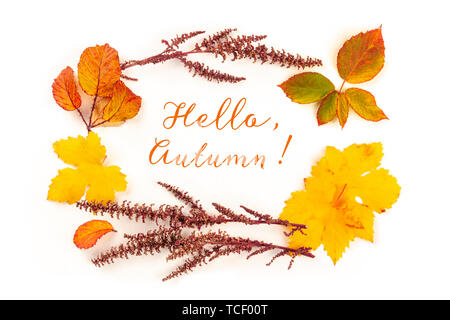 Hallo, Gruß Herbst Karte oder Einladung Design mit leuchtenden Herbst Blätter und Zweige auf weißem Hintergrund Stockfoto