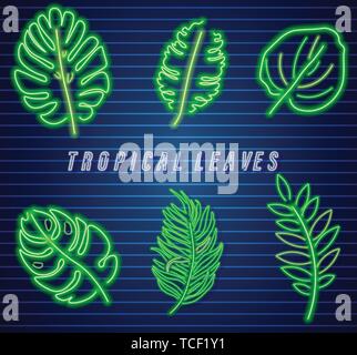 Tropic Blätter neon set Vektor. Detaillierte Vorlage Sammlung Stock Vektor