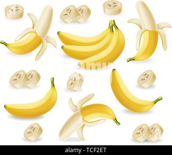 Banane Früchte set Vektor realistische Plakat Vorlage. Mock up für Label Design Stock Vektor