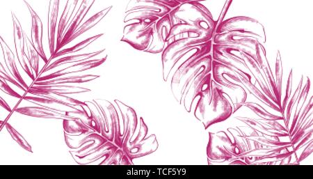 Palm Blätter Tropic fsummer Hintergrund Vektor line Art. Vintage Style Stock Vektor