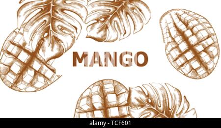 Mango Vektor line Art. Tropische Früchte des Sommers. Vintage Style Stock Vektor