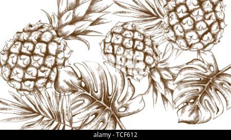 Ananas tropic Sommer Muster vektorlinie künste Exotische banner Karte Vorlage. Vintage Style Stock Vektor