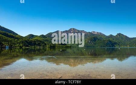 Herzogstand spiegelt sich im See Kochel, Kochel am See, Oberbayern, Bayern, Deutschland, Europa Stockfoto