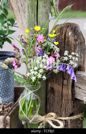 Wilde Blumen auf Oversley Hill Farm Garten an der RHS Malvern Frühjahr zeigen. Stockfoto