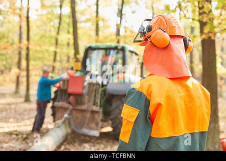 Wald Arbeiter am Holz zurück mit dem Spediteur nach dem Holz Ernte im Wald Stockfoto