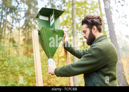 Förster steuert ein borkenkäfer Trap als Schädlingsbekämpfung im Wald Stockfoto