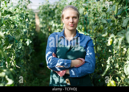 Portrait von zuversichtlich Arbeiterin von Treibhausgasen in der Nähe von Gemüse Stockfoto