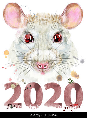Süße weiße Ratte für t-shirt Grafiken. Aquarell Ratte Abbildung mit Jahr 2020 Stockfoto