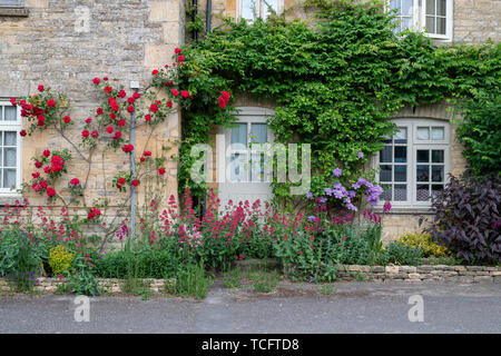 Rote Rosen auf einer Hütte in der Nähe von Churchill, Cotswolds, Oxfordshire, England Stockfoto
