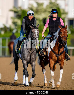 Elmont, New York, USA. 7. Juni 2019. Juni 06: Tacitus bereitet für das Belmont Stakes am Belmont Park in Elmont, New York am Juni 06, 2019. Evers/Eclipse Sportswire/CSM/Alamy leben Nachrichten Stockfoto