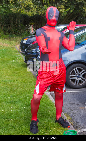 Poole, Dorset, Großbritannien. Juni 2019. Das Poole Dragon Boat Race, das Poole Dragon Boat Racing, wird auf dem See im Poole Park besucht. Quelle: Carolyn Jenkins/Alamy Live News Stockfoto