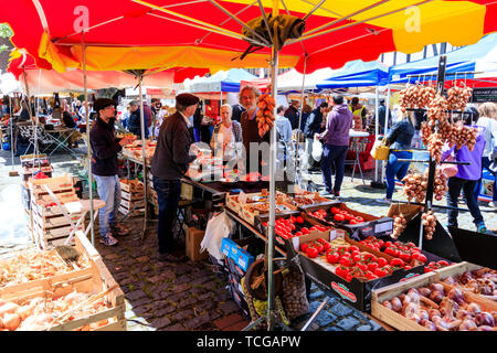 Le Wochenende Fall französischen Markt in Sandwich, England. Französisch grün Lebensmittelhändler in Town Square ausgeht, im hellen Sonnenschein. Verschiedene Arten von Tomaten auf dem Display mit Halter Kunden dienen. Stockfoto