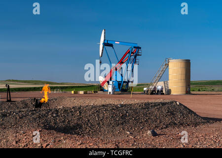 Jack Pumpen in Betrieb in der Bakken spielen Ölfelder in der Nähe von Williston, North Dakota, USA. Stockfoto