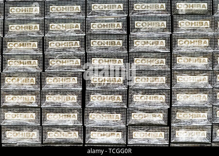 Ein Stapel von Cohiba cigarillos Für, in den Santa Clara Zigarrenfabrik in San Andres Tuxtlas, Veracruz, Mexiko Schrumpffolie warten. Die Fabrik produziert das Cuba Cohiba Markenprodukte unter Lizenz für die Verteilung auf die Länder, die kubanischen Produkte von einfuhrverbot. Stockfoto