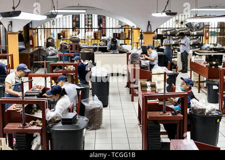 Die Zigarre rollt, wo Arbeitnehmer Hand rollen Feine Zigarren aus Tabakblättern, in den Santa Clara Zigarrenfabrik in San Andres Tuxtlas, Veracruz, Mexiko. Das Werk folgt traditionellen Hand Rollen mit demselben Prozess seit 1967 und wird von Kennern als eine der besten Zigarren der Welt. Stockfoto