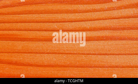 Detaillierte closeup Holz Hintergrund mit Korn detail Stockfoto