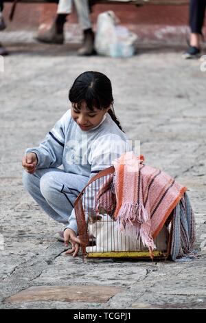 Ein junges mexikanisches Mädchen spielt mit ihrer Katze, wie sie für die jährlichen Segnung der Tiere am Fest des San Antonio Abad an Oratorio de San Felipe Neri Kirche im historischen Zentrum von San Miguel de Allende, Guanajuato, Mexiko wartet. Stockfoto