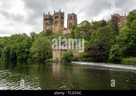 Kathedrale von Durham Stockfoto