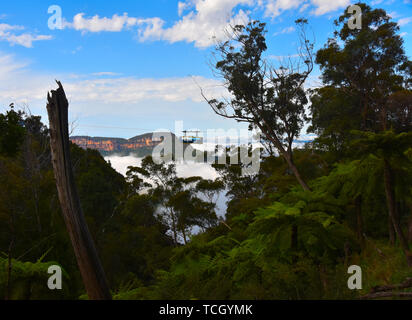 Katoomba Scenic Skyway ausgesetzt 270 m oberhalb der alten Jamison Valley. Es fährt über die Schlucht über Katoomba Falls in den blauen Bergen von NSW, Stockfoto