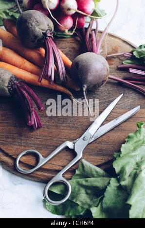 Prozess der Vorbereitung verschiedene Rohstoffe Bio Gemüse zum Kochen: Karotten, rote Rüben und Radieschen. Gesunde, saubere Essen. Verschiedene bunte Gemüse auf Stockfoto