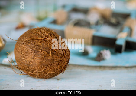 Sommer Zusammensetzung Coconut, Muscheln auf Pastell alten hölzernen blau Plank flach Konzept Stockfoto