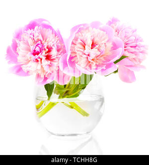 Drei rosa Pfingstrosen in Vase isoliert auf weißem Stockfoto