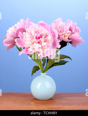 Drei rosa Pfingstrosen in Vase auf Holztisch auf blauem Hintergrund Stockfoto