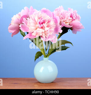 Drei rosa Pfingstrosen in Vase auf Holztisch auf blauem Hintergrund Stockfoto