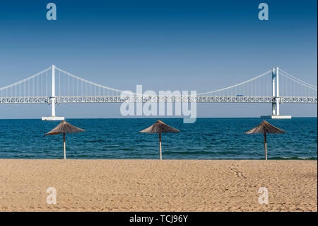 Gwangalli Beach und Gwangan Brücke, beliebtes Touristenziel in Busan, Südkorea Stockfoto