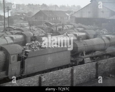 Lokschuppen und Dampfzüge in Shrewsbury Bahnhof in den 1950er Jahren. Shrewsbury, Shropshire, England, Großbritannien Stockfoto