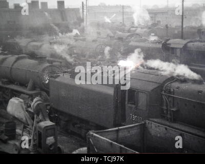 Dampfloks und der Ex-GWR Lokschuppen in Shrewsbury Bahnhof in den 1950er Jahren. Shrewsbury, Shropshire, England, Großbritannien Stockfoto