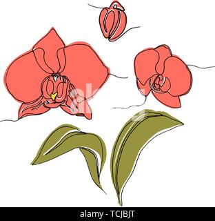 Satz von Hand gezeichnet Orchidee Blumen und Blätter, eine einzige Linie zeichnen. auf weißem Hintergrund. Vektor Illustration. Stock Vektor