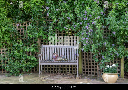 Eine Töpferei Abbildung einer Kröte liegend auf einer Gartenbank neben einem Gitter abgedeckt von Solanum crispum Glasnevin, aka Solanum crispum Herbstliche, Kartoffel Baum Stockfoto