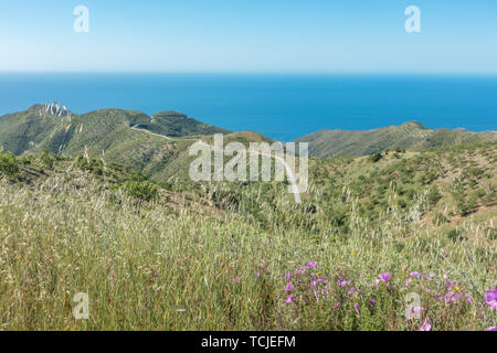 Schöne Aussicht über wilde Blumen in einem engen, gewundenen Straße bis aus Los Yesos zu Sorvilán, Sierra Nevada, Spanien Stockfoto