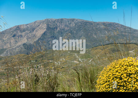 Wunderschöne Gebirgsstrasse in der Nähe von Rubite in der Sierra Nevada, Spanien, mit Spring wildflowers Stockfoto