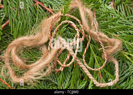 Handgefertigte Bindfäden/Garn aus der inneren Rinde eines Western Red Cedar Tree, liegen auf Western Red Cedar branchlets. Stockfoto