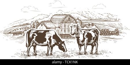 Dairy Farm. Kühe grasen auf der Weide. Ländliche Landschaft, Dorf vintage Skizze Stock Vektor