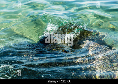 Schwarze reef im blauen Meer Wasser Stockfoto
