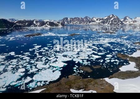 Luftaufnahme, Eisschollen in Ammassalik Fjord, Ostgrönland, Grönland Stockfoto