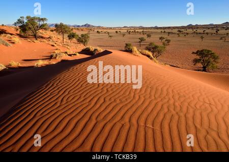 Blick auf die roten Dünen der Wüste Landschaft des NamibRand Nature Reserve, Wüste Namib, Namibia, Afrika Stockfoto