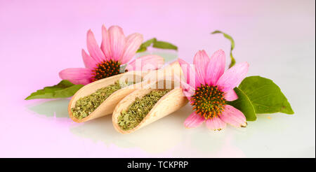 Lila echinacea Blumen und getrocknete Kräuter auf rosa Hintergrund Stockfoto